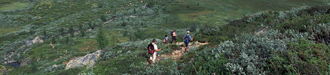 [foto de la noticia]