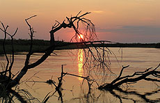 Atardecer en el río Chobe, Botswana.