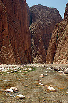 La garganta del Todra.