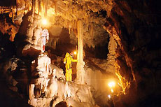Covalanas