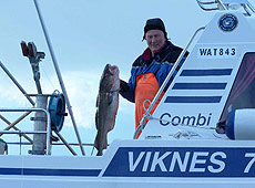 Skrei en Noruega.