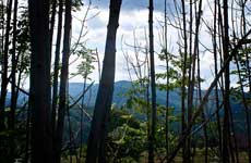 Paraje de la comarca de Babia.