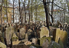El cementerio jud�o.